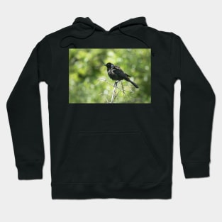 Every Day I'm Grackling Hoodie